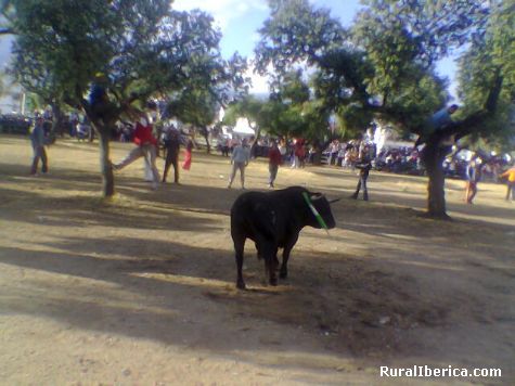 Fiestas de mayo - Vegaviana, Cceres, Extremadura